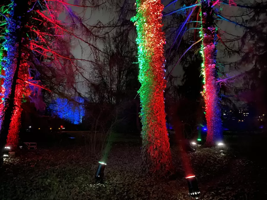 Gaismas instalāciju festivāls "Ziemas gaismas dārzs"